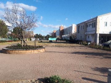 写真:現在の南郊公園の様子