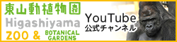 東山動植物園YouTubeチャンネル