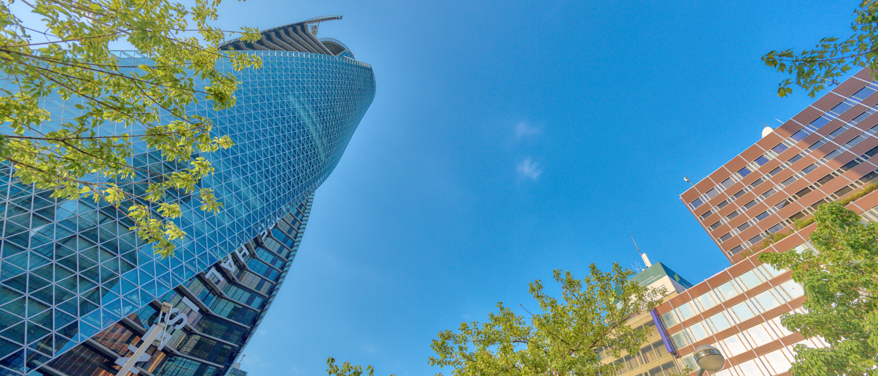 新緑と名古屋駅ビル群