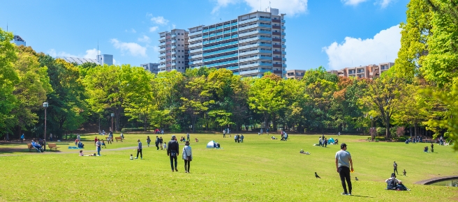 写真:公園