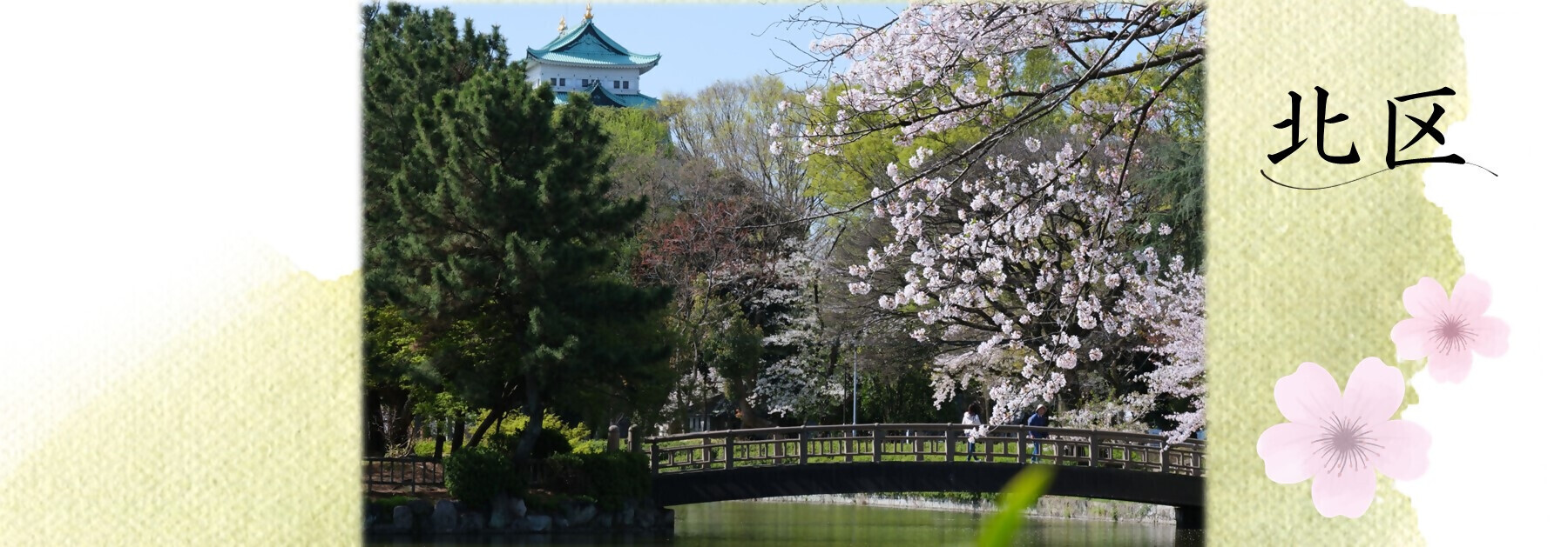 写真：名城公園の桜
