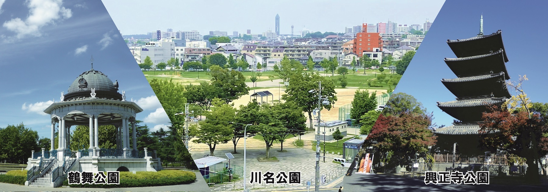 写真：昭和区の公園