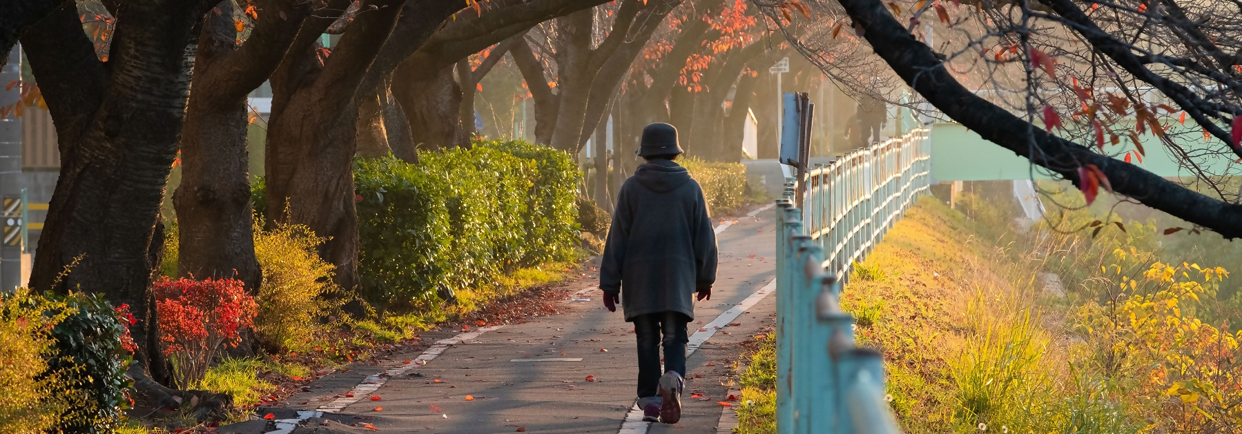 写真：秋の香流川