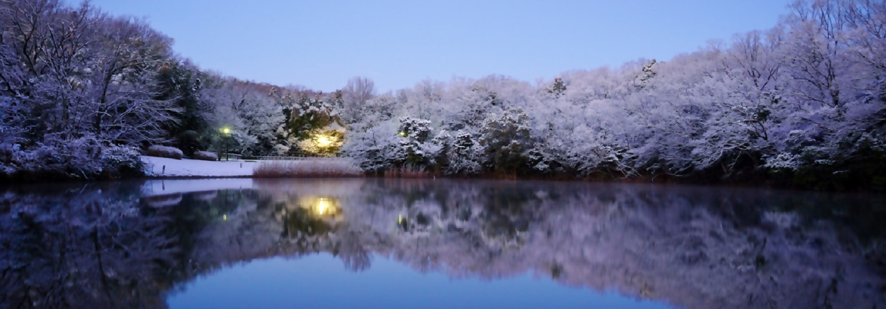 写真：冬の明徳公園