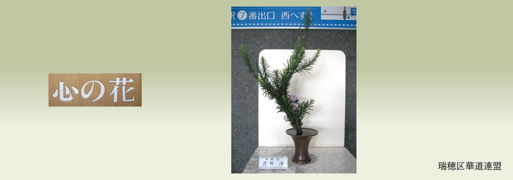 心の花の写真