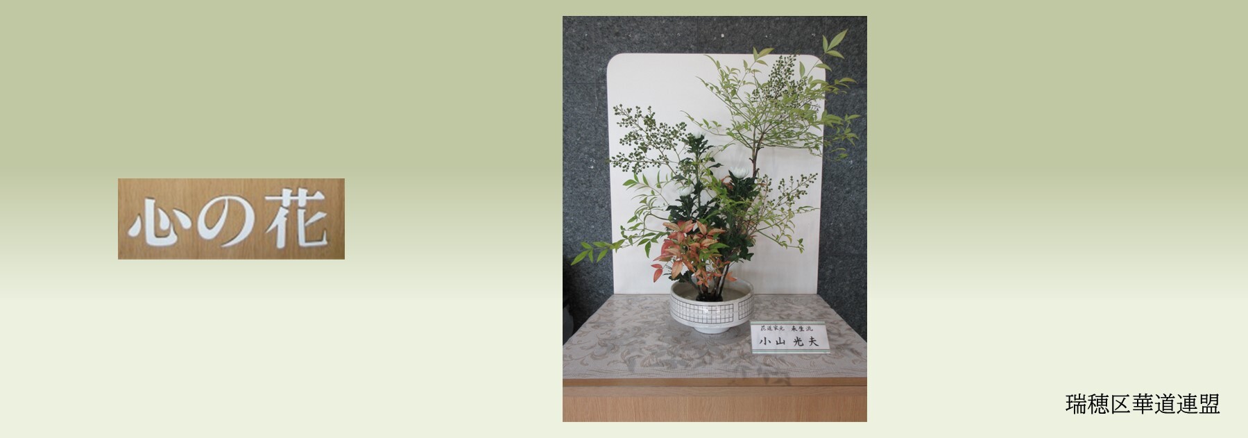心の花の写真