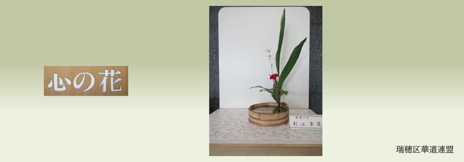心の花の写真