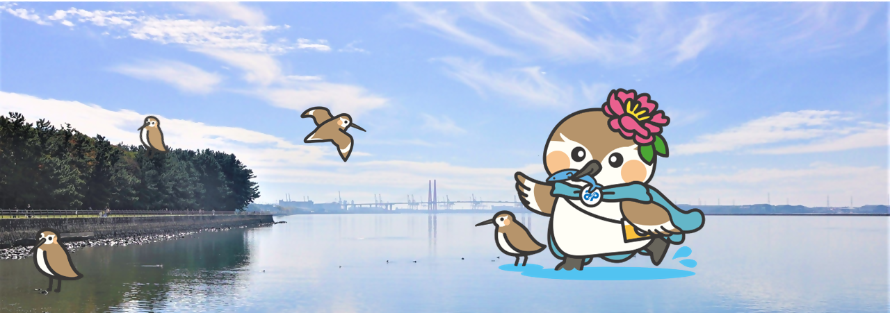 藤前干潟を楽しむみなぴぃ