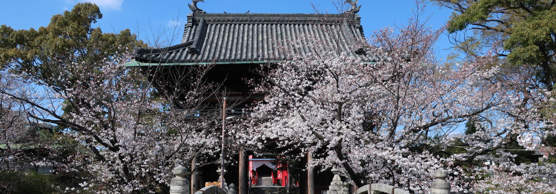 画像：笠寺観音