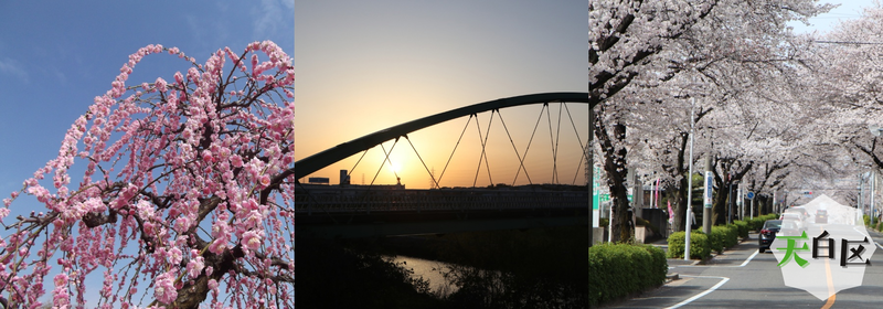 画像：農業センターdelaふぁーむのしだれ梅、寄鷲の夕日、植田の桜