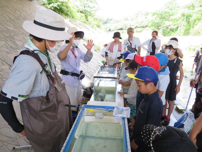 写真:水辺の生き物観察教室の様子