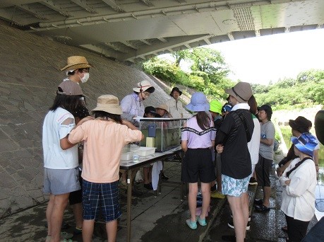 写真：水辺の生き物観察教室の様子