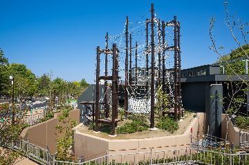 写真:オランウータン舎屋外展示場の様子