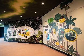 写真:オランウータン舎学習展示の様子