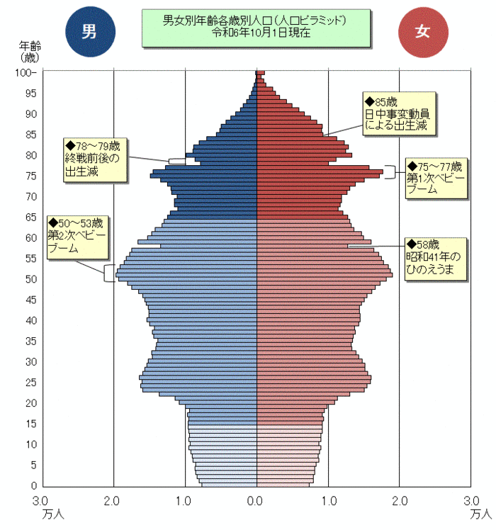 グラフ：男女別年齢各歳別人口ピラミッド