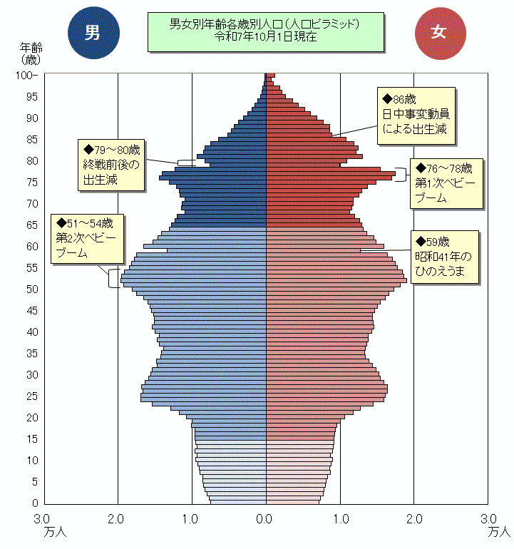 グラフ：男女別年齢各歳別人口ピラミッド