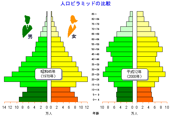 図　人口ピラミッドの比較のグラフ