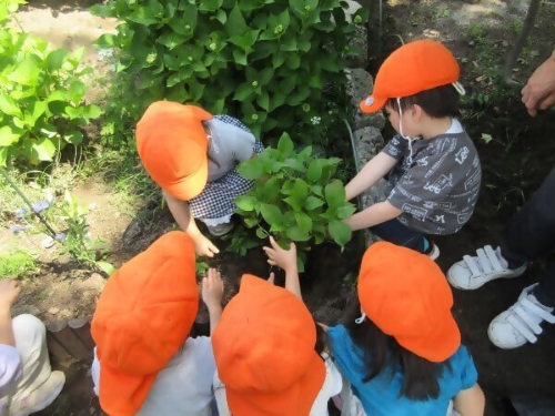 カーボンニュートラル、ネイチャーポジティブ、サーキュラーエコノミーの推進事業のイメージ