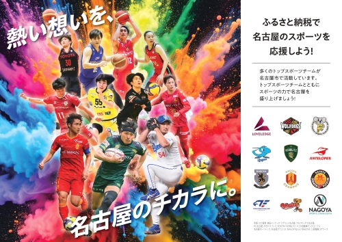 トップスポーツチーム活動支援事業寄附金の紹介