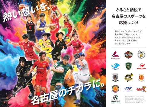 トップスポーツチーム活動支援事業寄附金の紹介