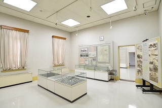 写真：第6常設展示室