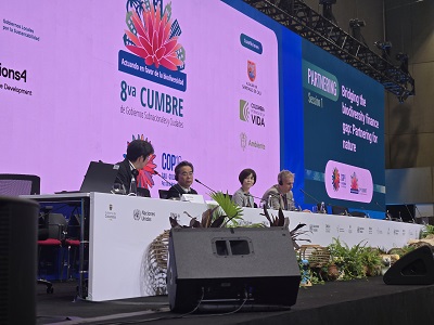 写真:会議の様子