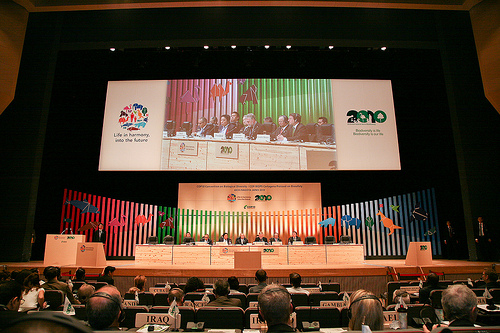 写真:オープニングの様子