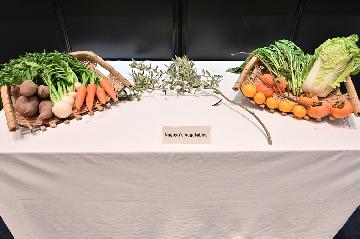 写真:名古屋の伝統野菜及びなごやさい