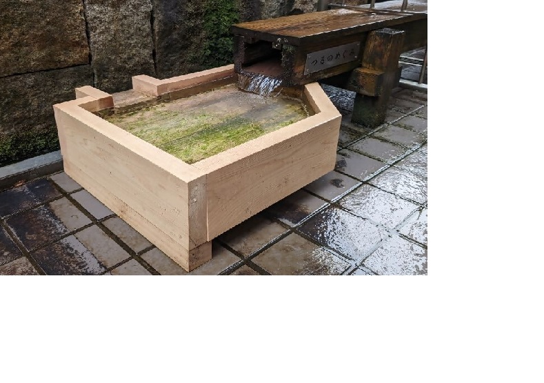 写真:湧き水の様子