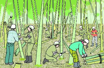 イラスト:市民団体と事業者で保全活動