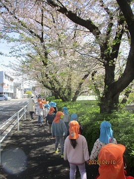 写真:散歩の様子です。