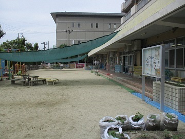 写真:通用門から見た園舎外観の様子です