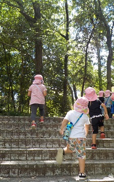 写真:保育の様子(散歩)です