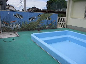 写真:プールの様子です。