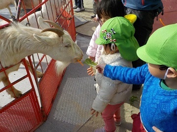 写真：いちご動物園の様子です。