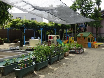 写真:園庭です。