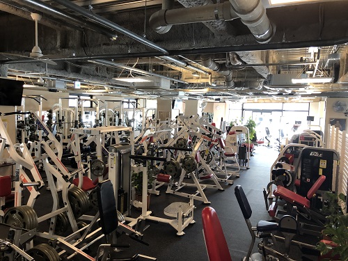 ゴールドジムの写真