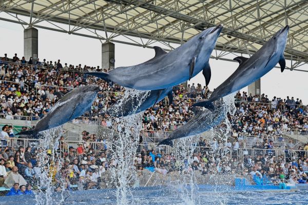 名古屋港水族館の写真