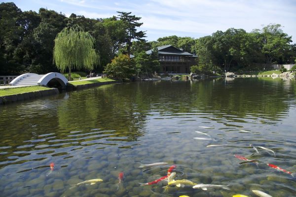 徳川園の写真