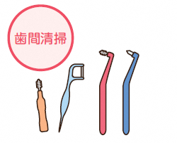 歯間清掃用具イラスト