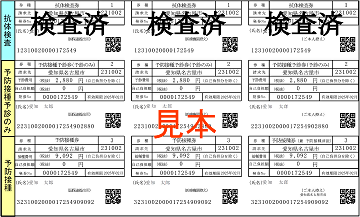 風しん無料クーポン券の見本です(抗体検査は検査済）