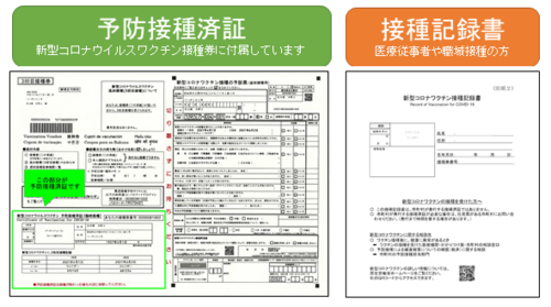 写真：予防接種済証、接種記録書見本
