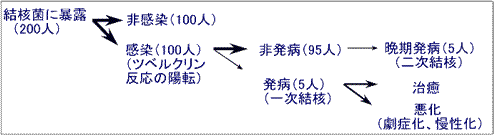 画面:結核菌の感染から発病までの1例