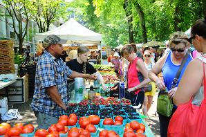 写真：主催者イベント1