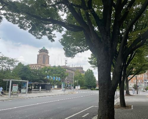 写真:重要文化財の名古屋市役所本庁舎と緑豊かな三の丸地区