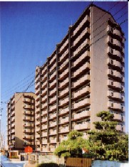 写真:完成した建物