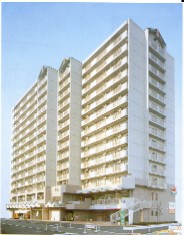 写真:完成した建物