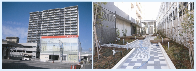 写真:C街区施設建築物