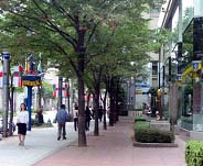 写真:歩行者空間