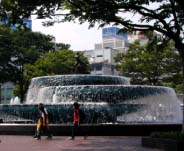 写真:人や環境にやさしいまち